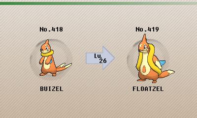 floatzel evolution|pokemon floatzel serebii.